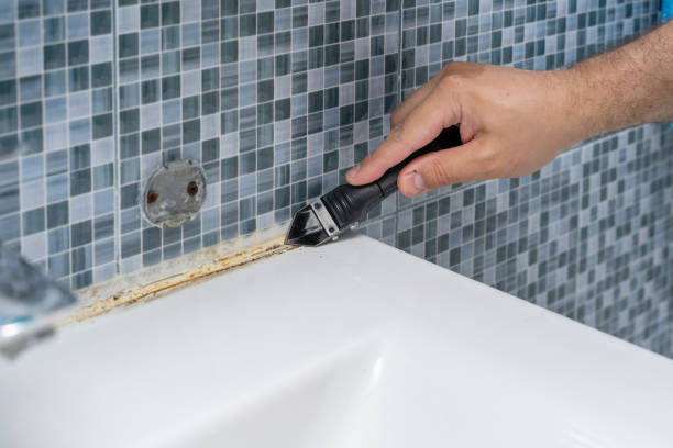 Best Mold Removal Near Me  in Preston Heights, IL