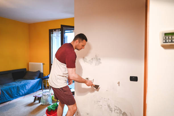 Best Office Mold Removal Services  in Preston Heights, IL